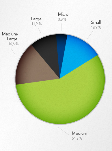 Chart of company size